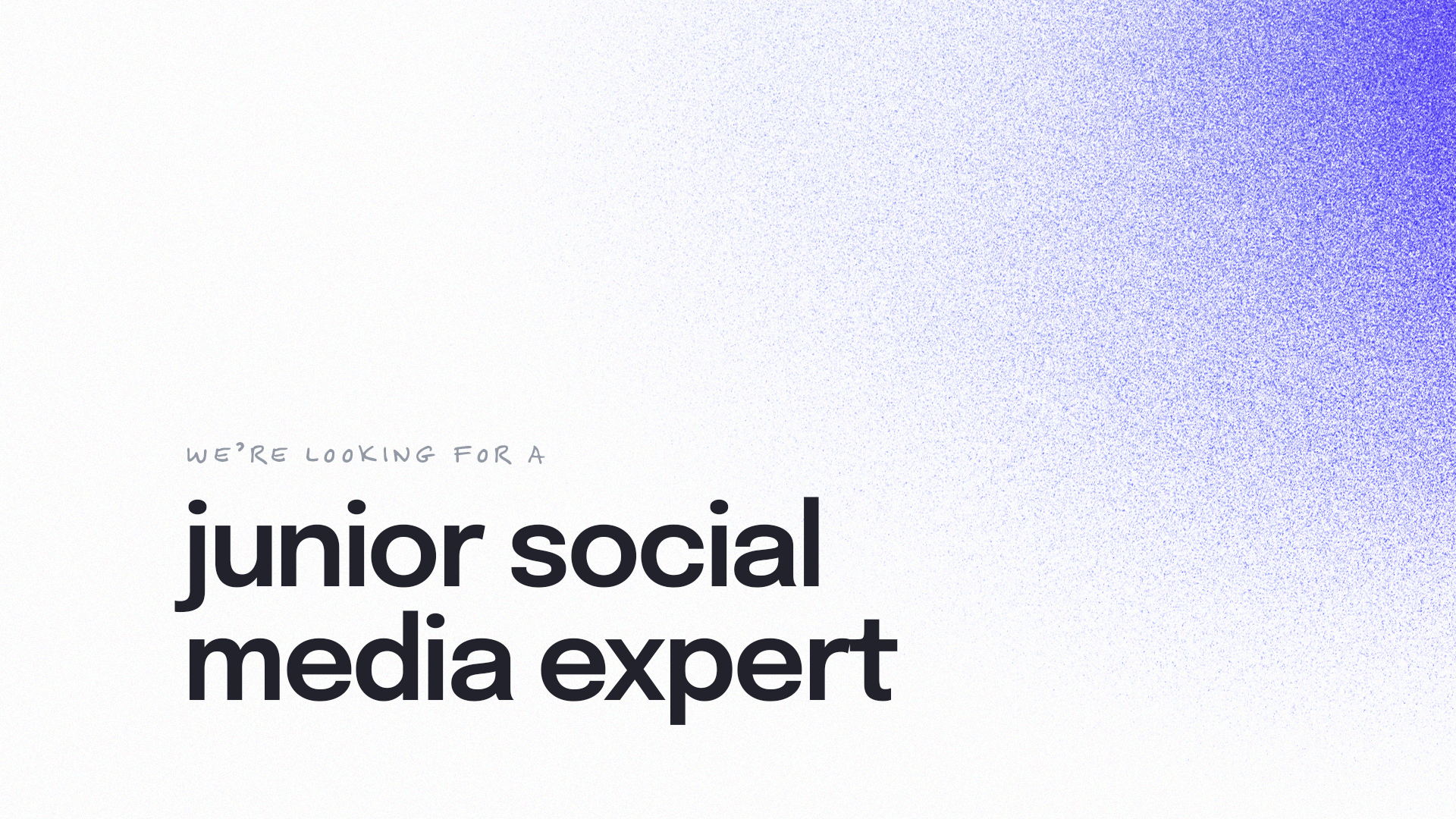 junior social media expert
